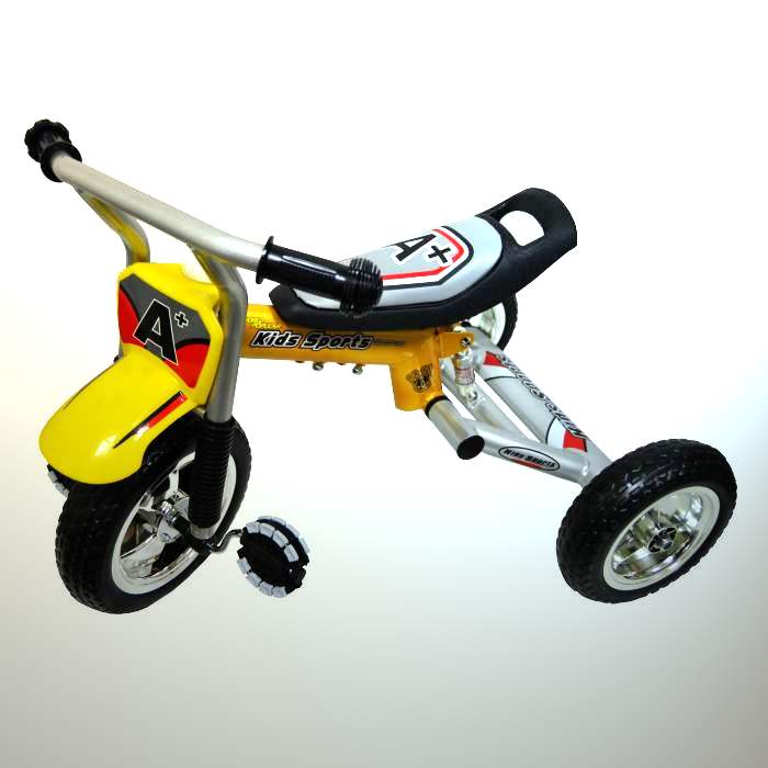 Tricycle/bike for children large